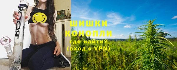 трава Абаза