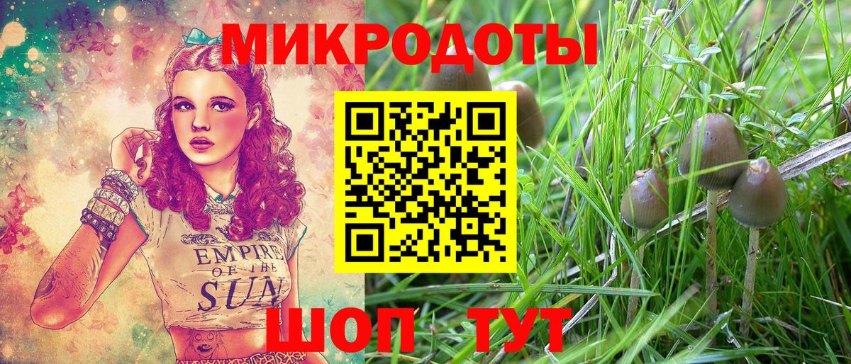 Галлюциногенные грибы Magic Shrooms Саратов