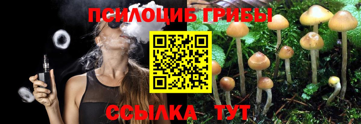 Псилоцибиновые грибы Psilocybe  Вход с VPN  Галлюциногенные грибы Cubensis  Саратов 